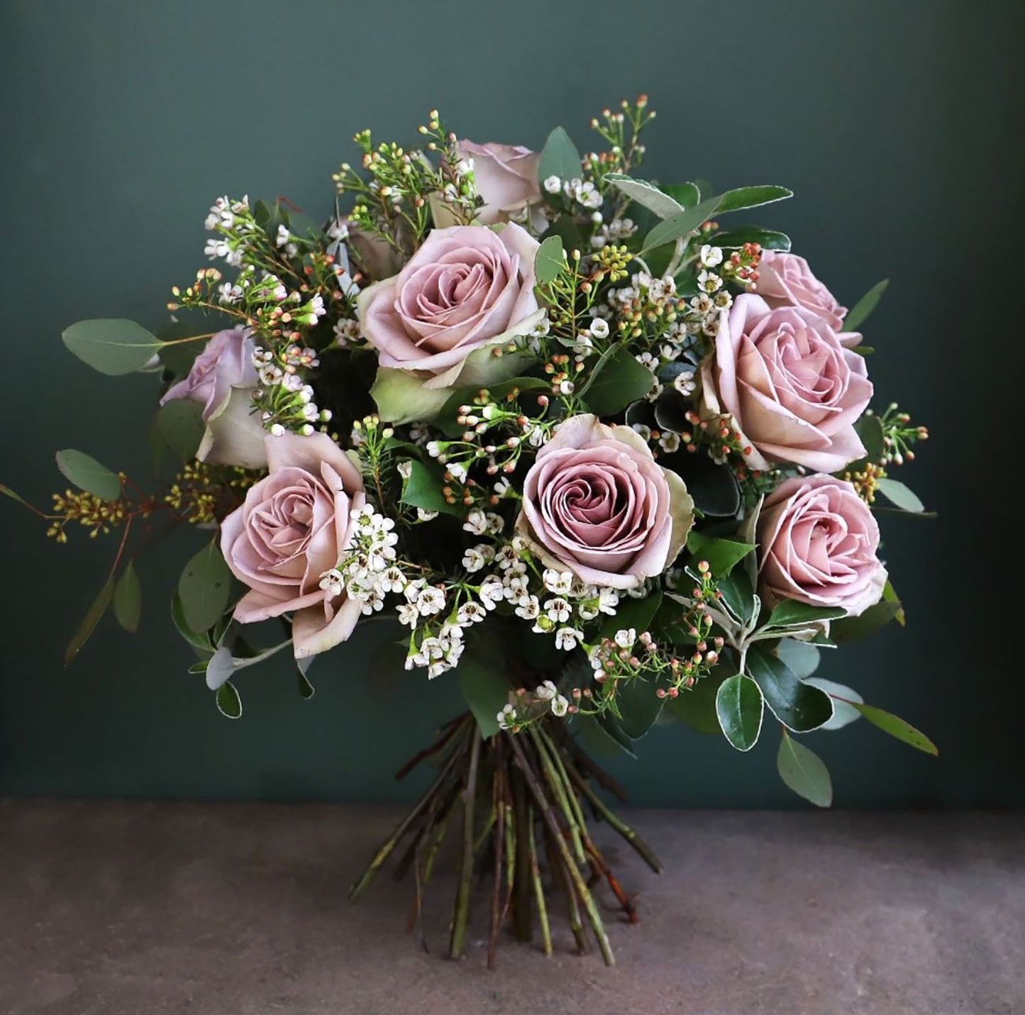 #SPF005,Amnesia 失忆, French Florist Shrub Rose, Non-Grafted/Own Root.