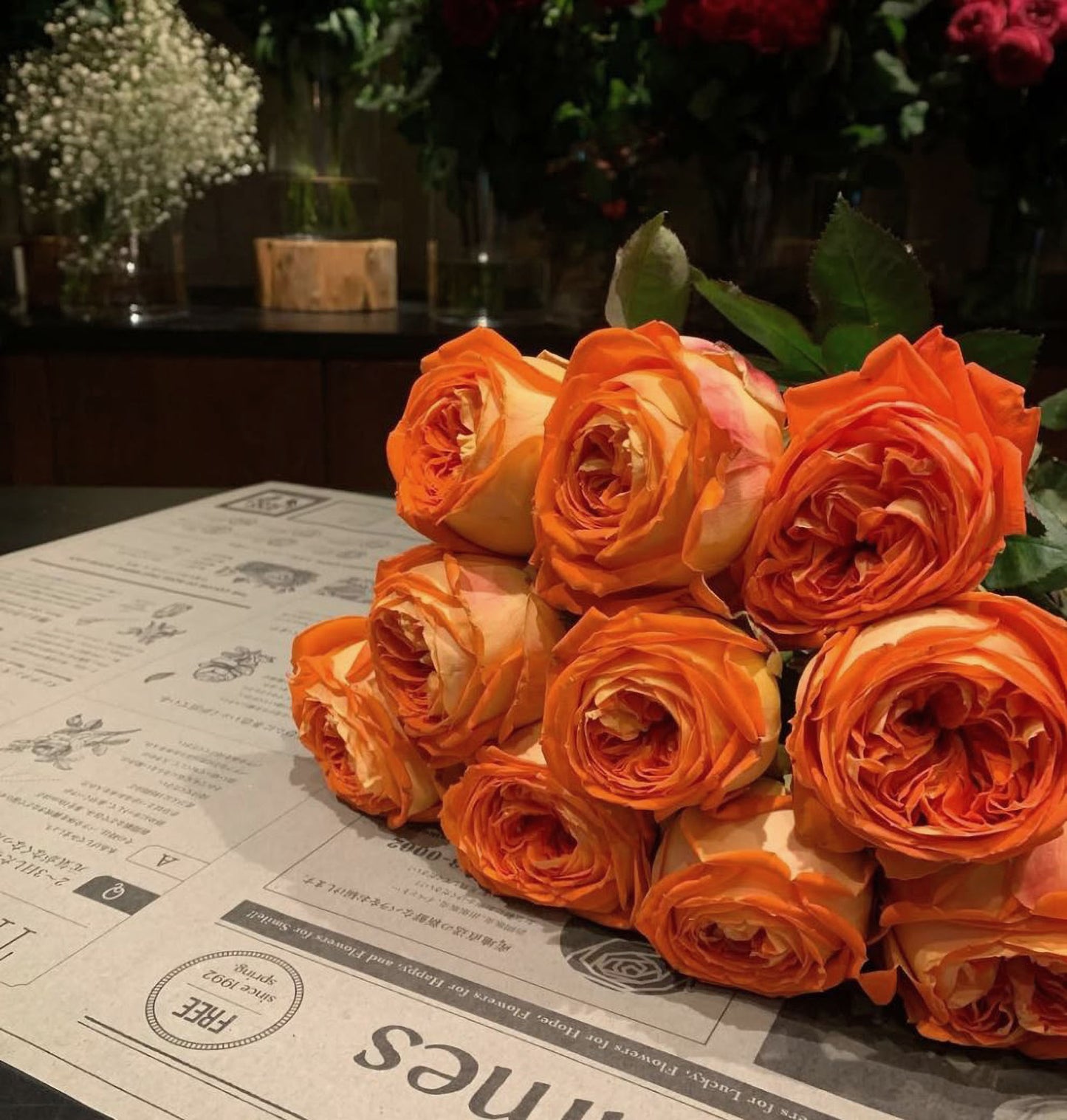 #SPJ131,Arancia 橙意,Japanese Floribunda Rose, Non-Grafted/Own Root.