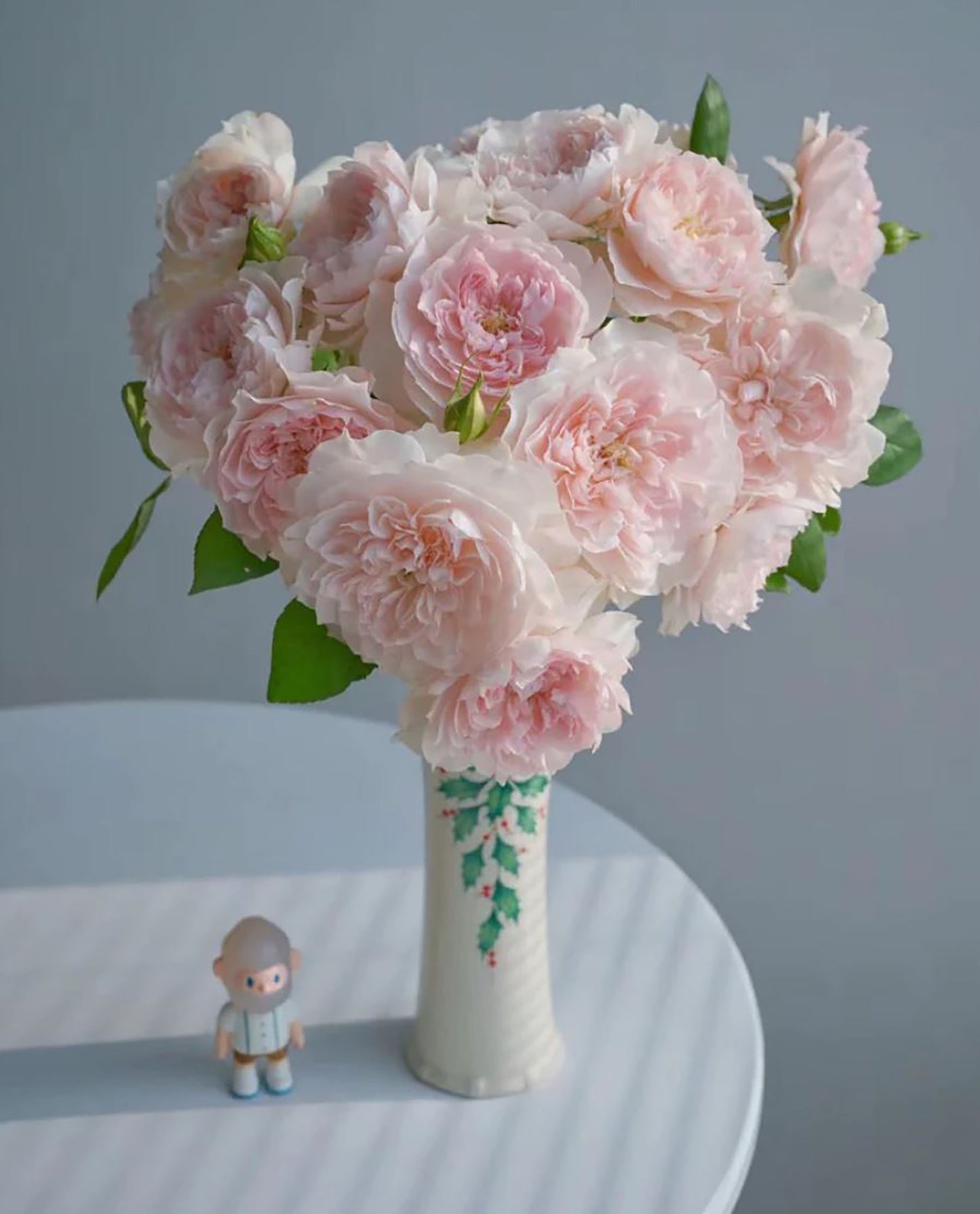 Blossom of Love/JiaShu ,Shrub Rose,Heat Resistant, Non-Grafted/Own Root.