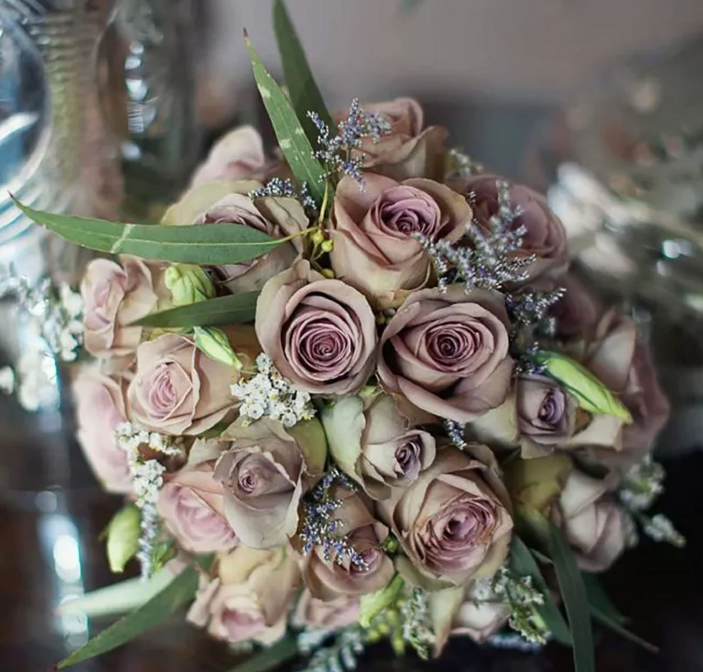 #SPF005,Amnesia 失忆, French Florist Shrub Rose, Non-Grafted/Own Root.
