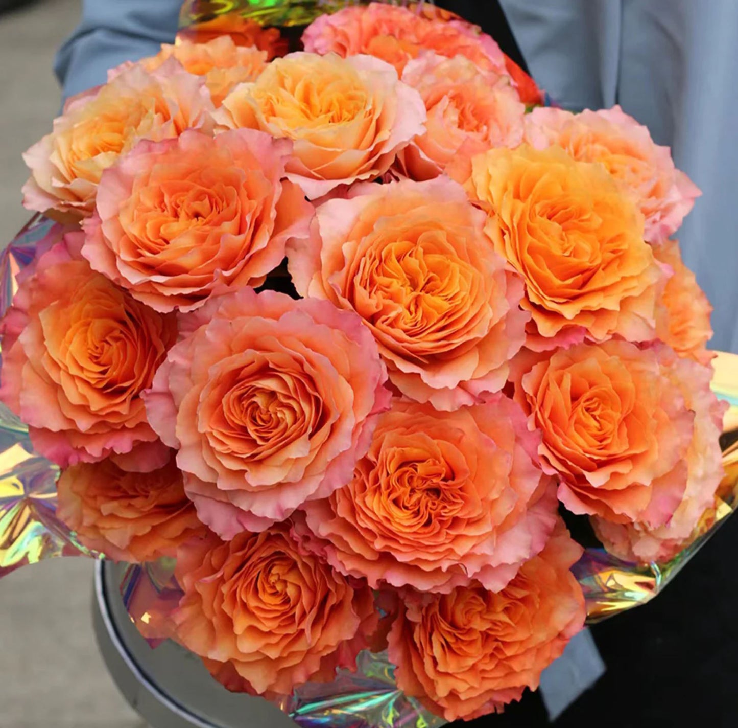 Free Spirit 自由主义,Florist Cutting Rose,Non-Grafted/Own Root.