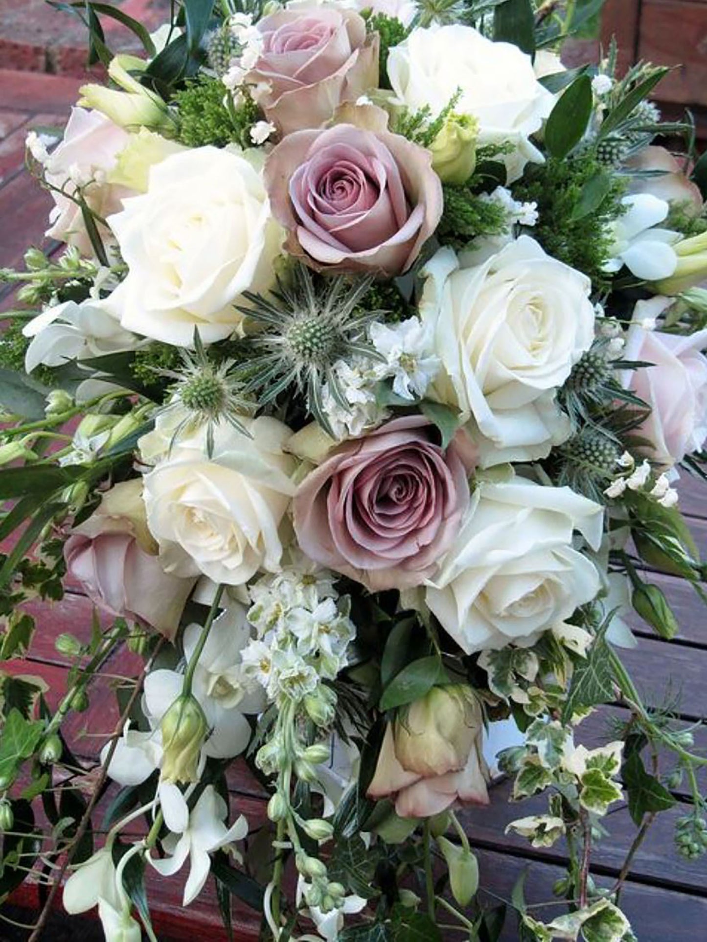 #SPF005,Amnesia 失忆, French Florist Shrub Rose, Non-Grafted/Own Root.