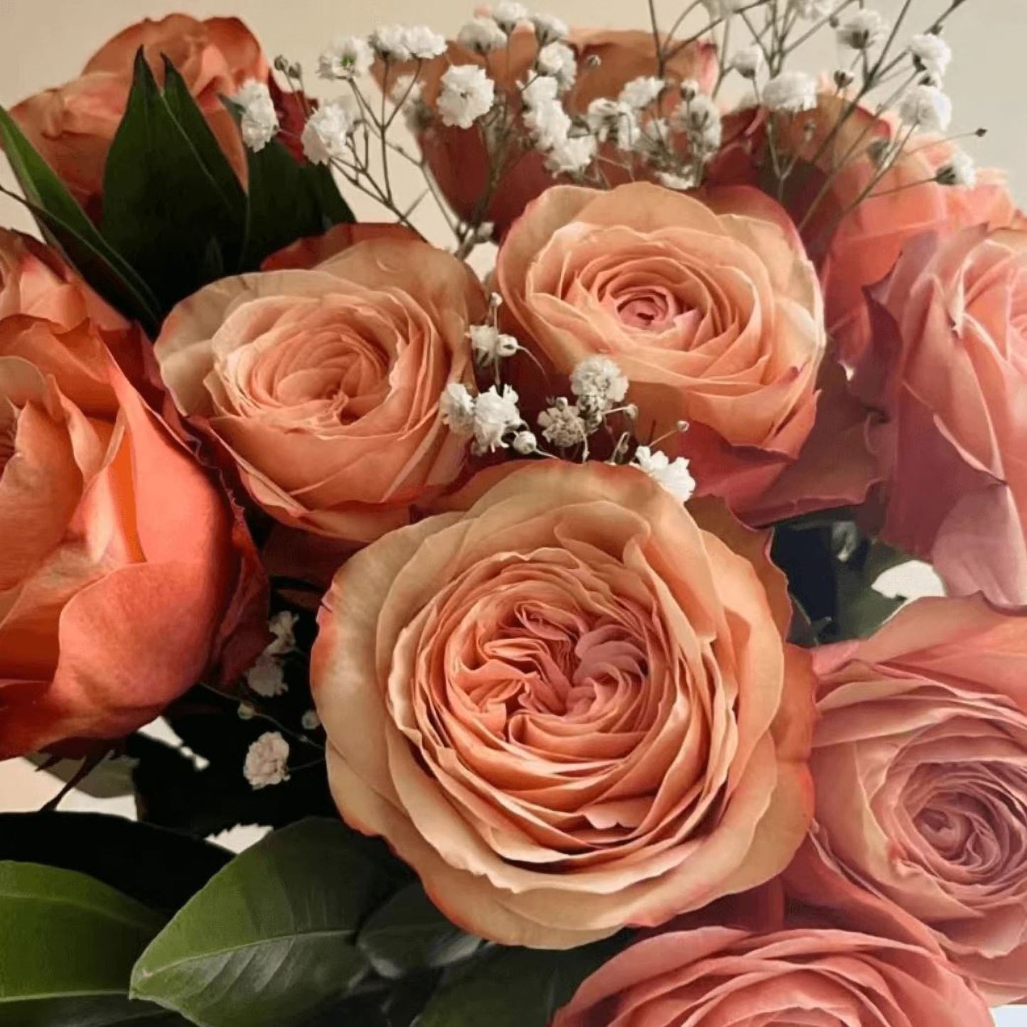 #SPN163,Funky Peach 方可桃,Florist Cutting Rose,Non-Grafted/Own Root.