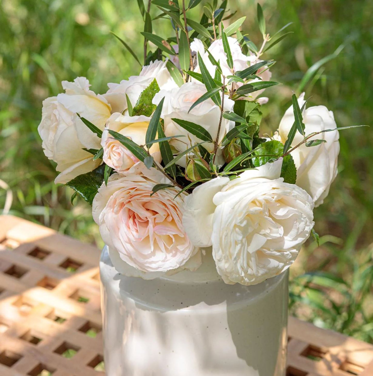 #SPF164,Camille Claudel 心之雕刻,Shrub Rose, Non-Grafted/Own Root.