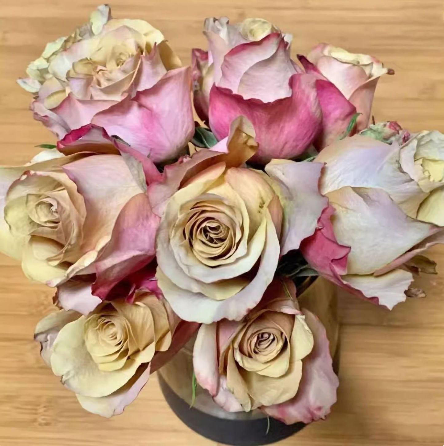 #SPF238,NEW! Extremely Similar to Honey Colorama 蜂蜜色彩,Florist Shrub Rose.