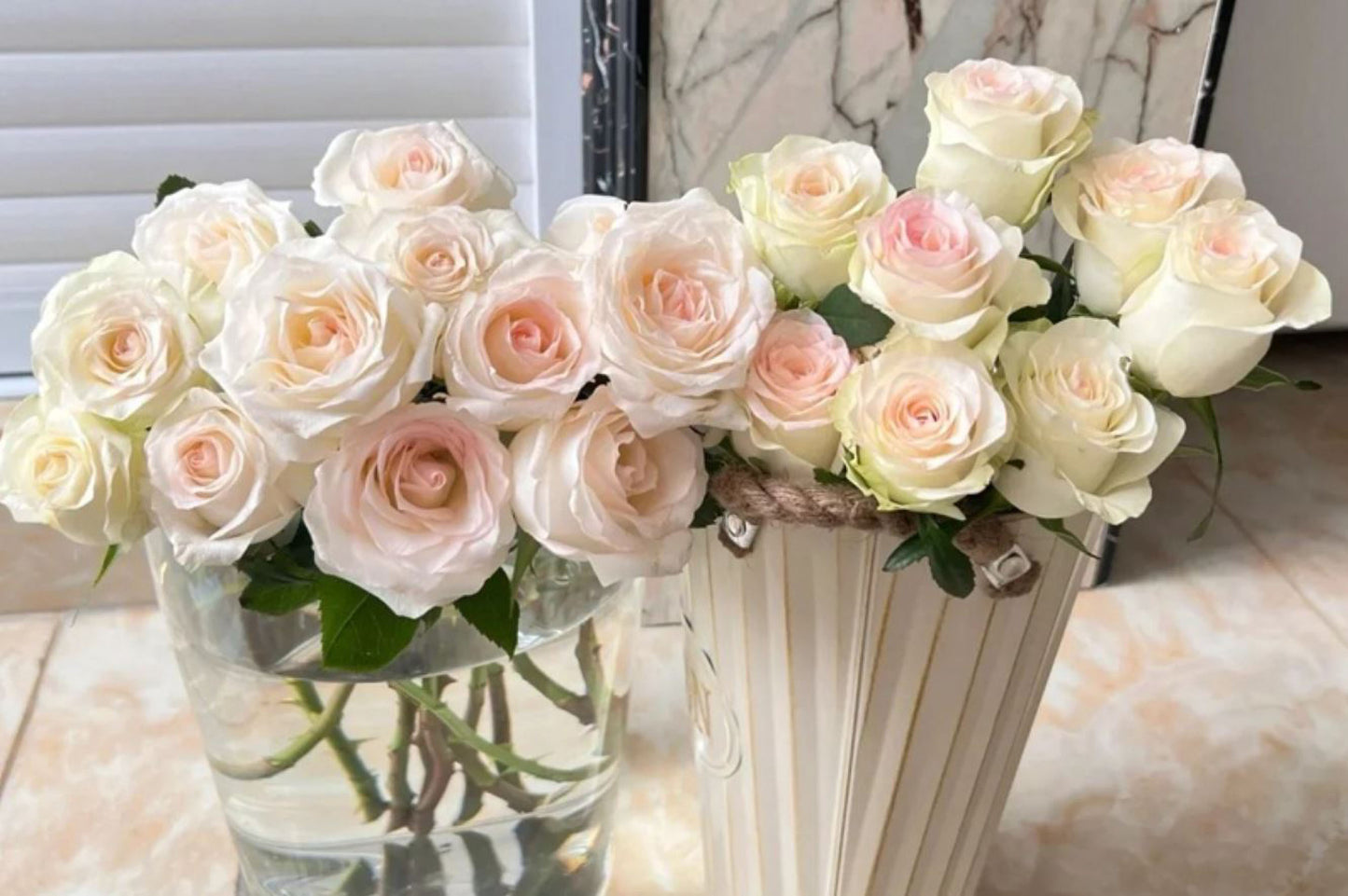 #SPN117,Sweet Jumilia 甜蜜艾莎, Netherlands Florist Shrub Rose.