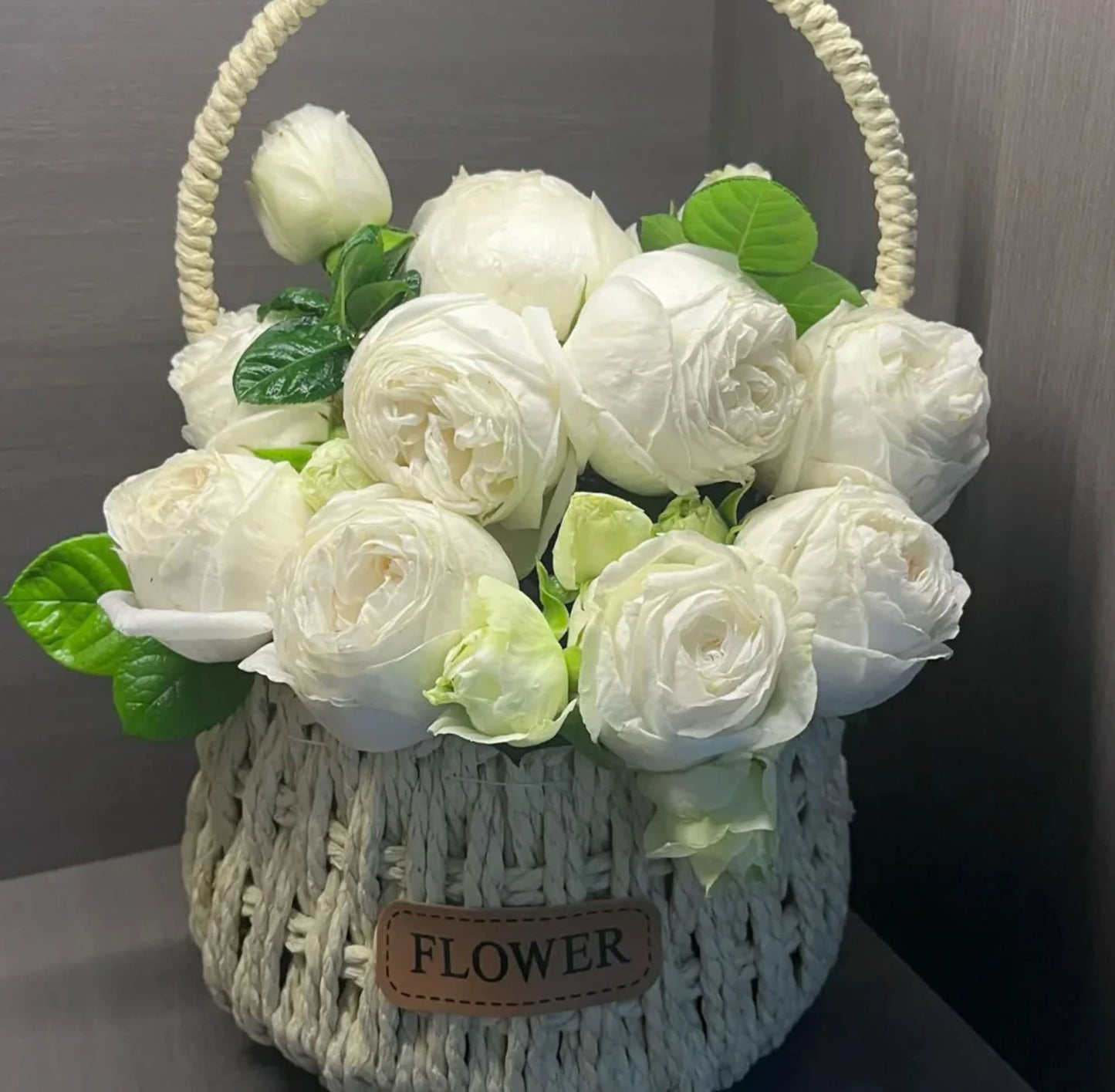 #SPJ145,Roads of wedding 婚礼之路,Japanese Florist Shrub Rose. Non-Grafted/Own Root.