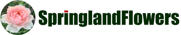 SpringlandFlowers logo