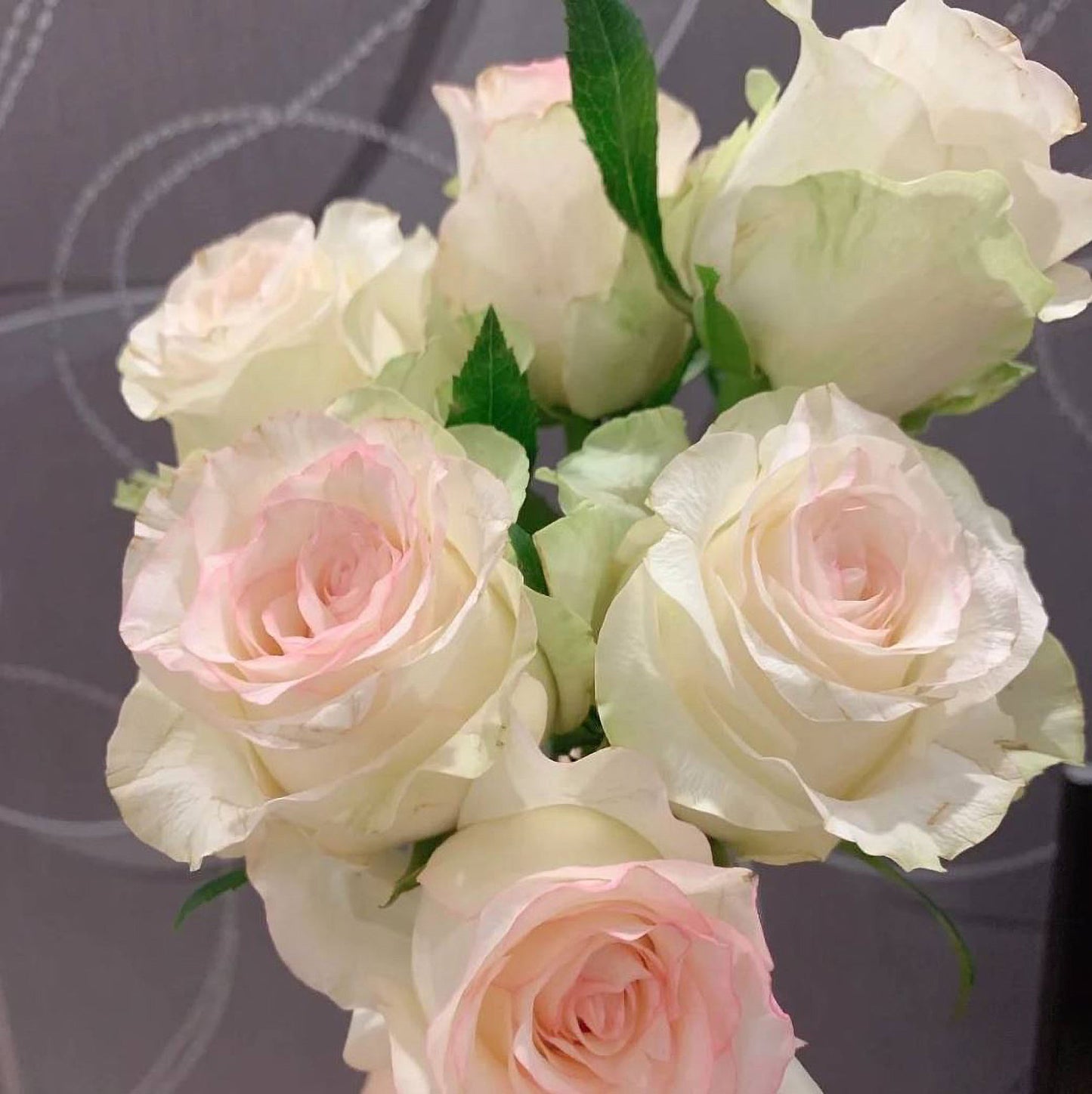 #SPN117,Sweet Jumilia 甜蜜艾莎, Netherlands Florist Shrub Rose.
