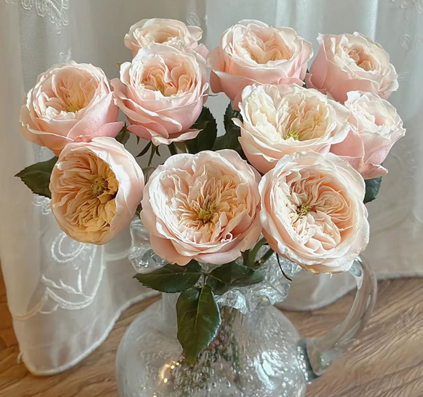 #SPN116, Darlington 达林顿, Florist Shrub Rose.