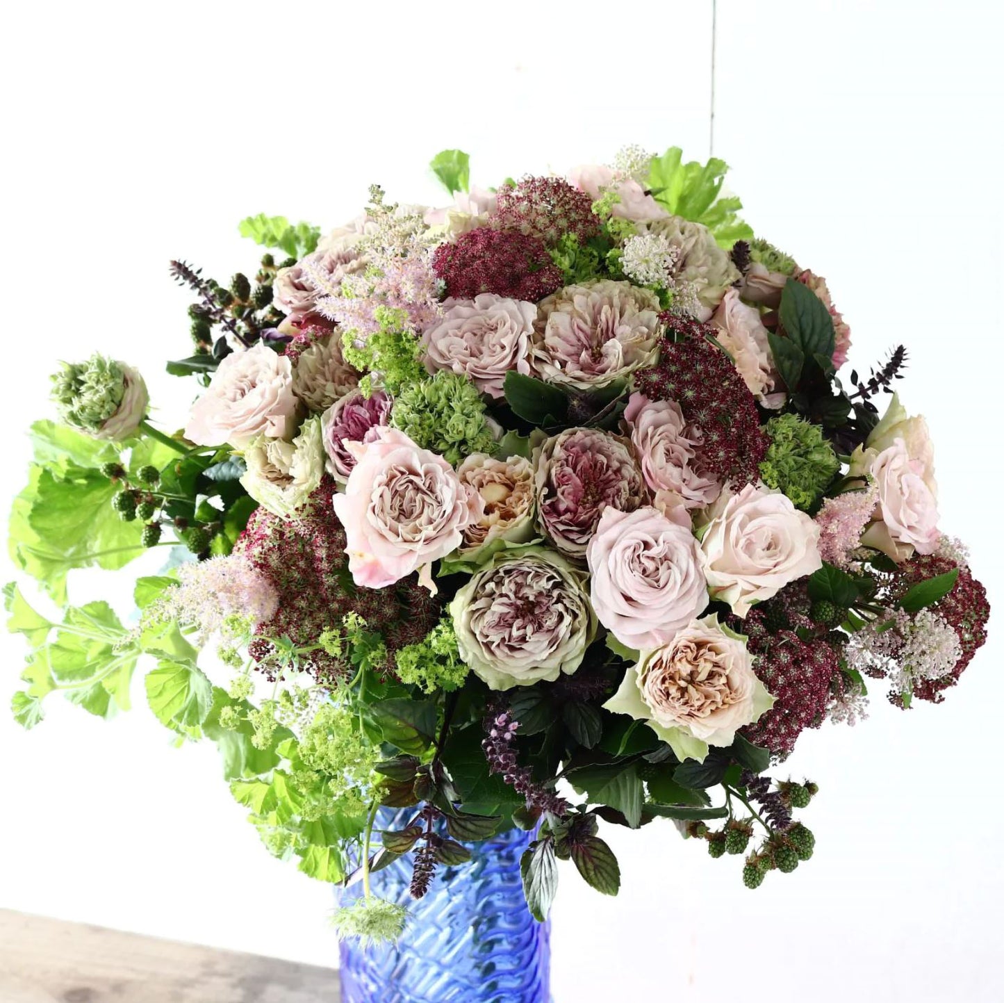 #SPJ124,Nothing without you 不能没有你/非你莫属,Japanese Florist Shrub Rose , Non-Grafted/Own Root.