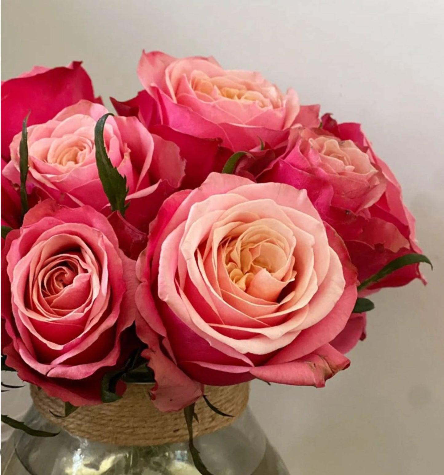Alter Ego 闺蜜,French Floribunda Florists Rose. Upright,Heat-tolerant, disease-resistant, Non-Grafted/Own Root.