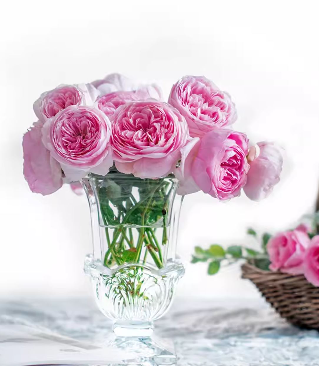 #SPC286, NEW! 2022. YuHuanMing 玉环鸣, Floribunda Rose. Non-Grafted/Own Root.