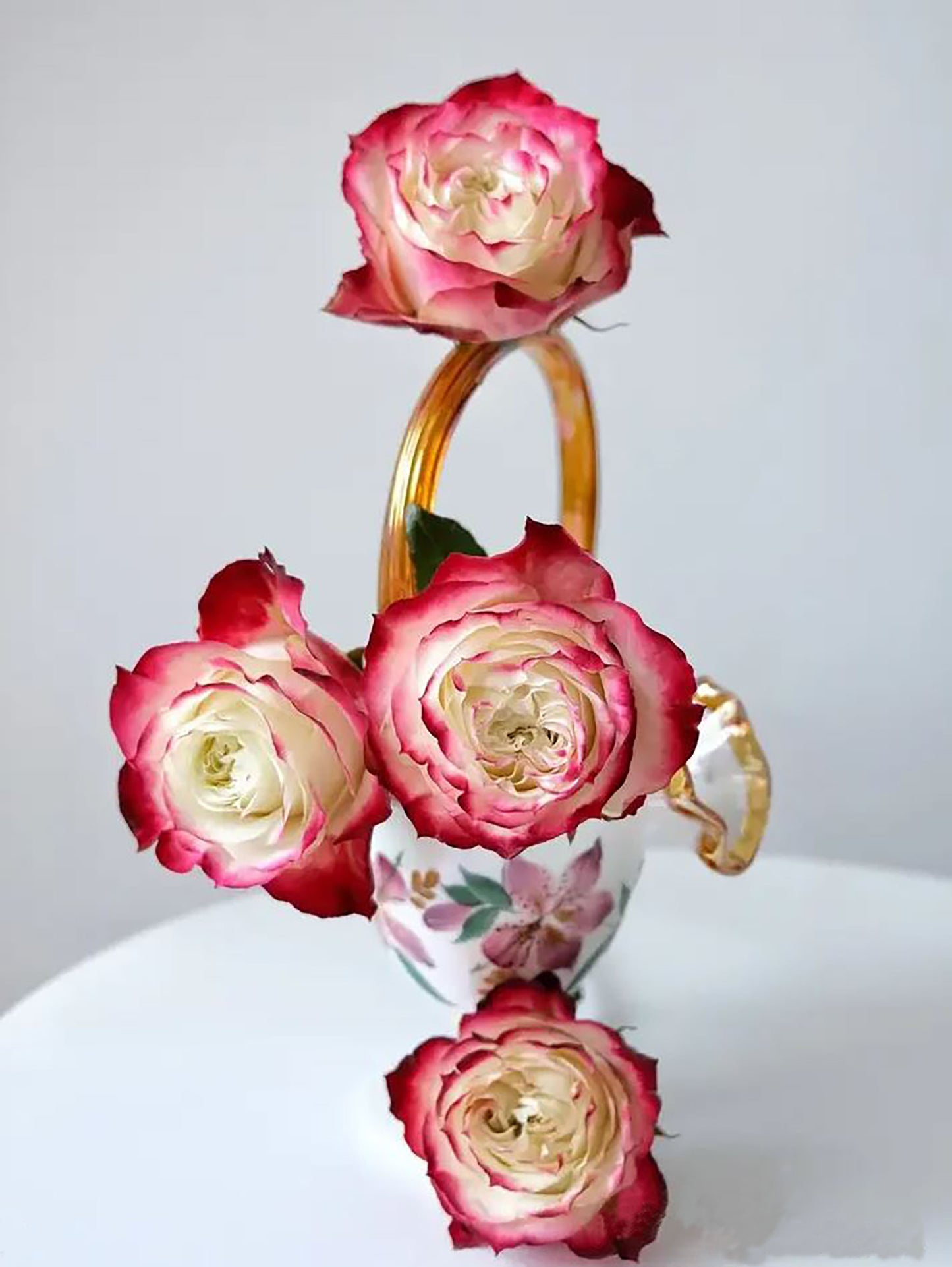 Rose Apple Jack 苹果杰克, Non-Grafted/Own Root. disease-resistant plant, Continual Blooming.