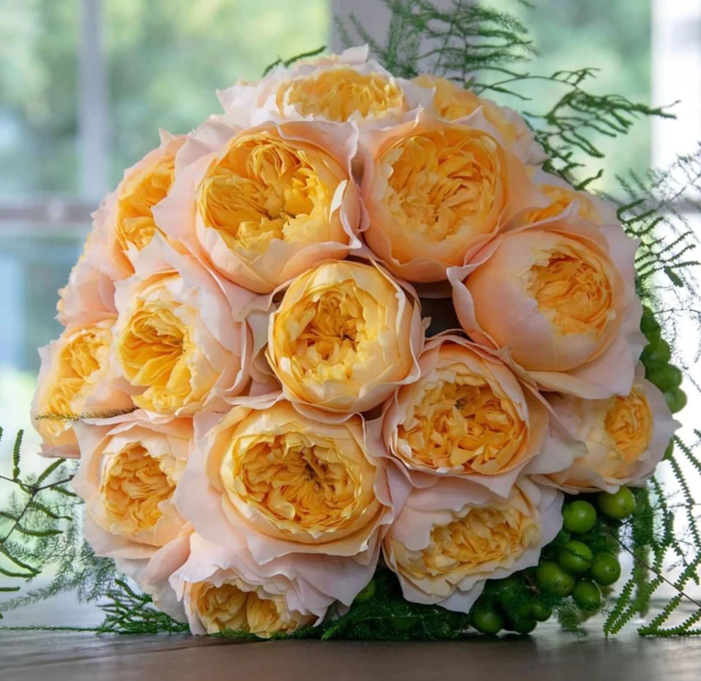 #SPN073, Golden Vuvuzela 金色珊瑚心, Florist Shrub Rose, Non-Grafted/Own Root.