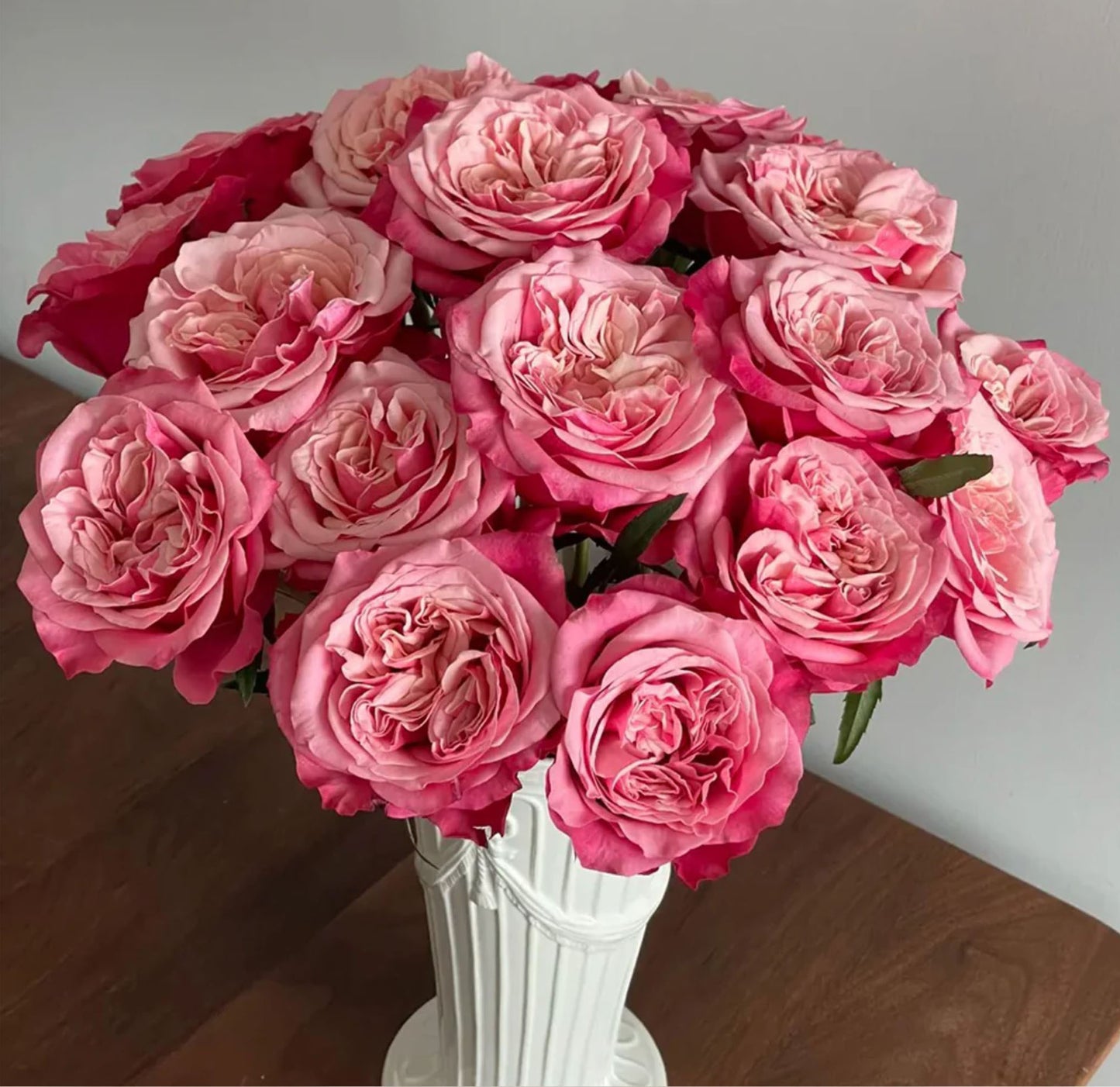 Alter Ego 闺蜜,French Floribunda Florists Rose. Upright,Heat-tolerant, disease-resistant, Non-Grafted/Own Root.