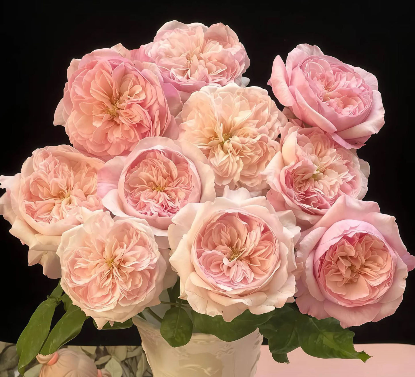#SPN258,Pink fragrance 五号香水,Florist Shrub Rose, Non-Grafted/Own Root.