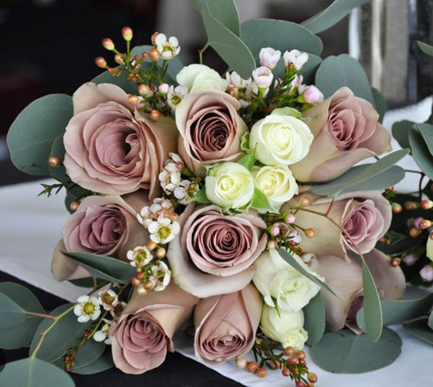 #SPF005,Amnesia 失忆, French Florist Shrub Rose, Non-Grafted/Own Root.