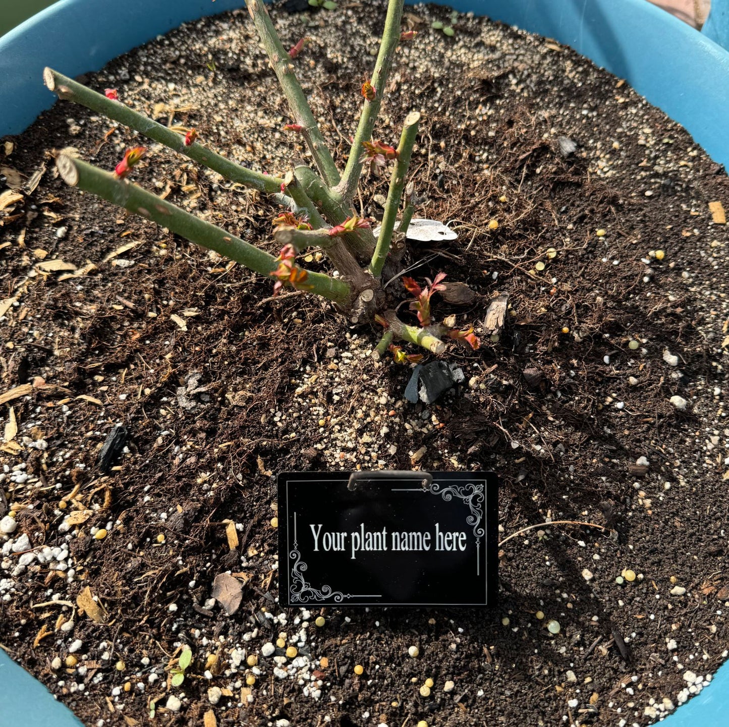Customizable Tags for Your Garden! Metal aluminum, waterproof and weather resistant.