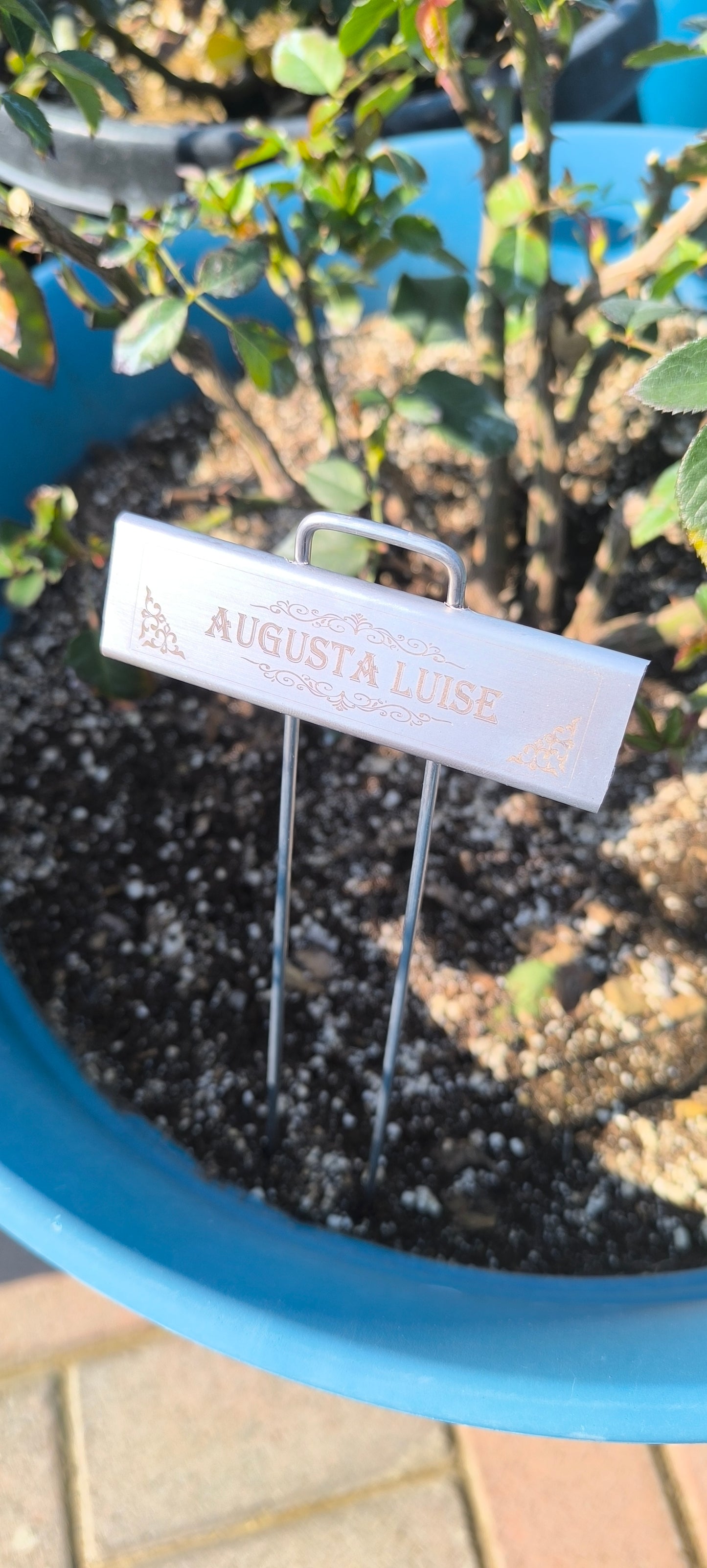 Customizable Tags for Your Garden!