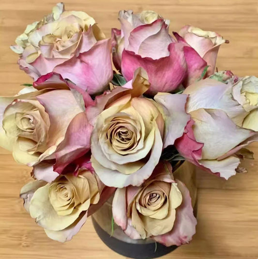 #SPF238，NEW!  Extremely Similar to Honey Colorama 蜂蜜色彩，Florist Shrub Rose.
