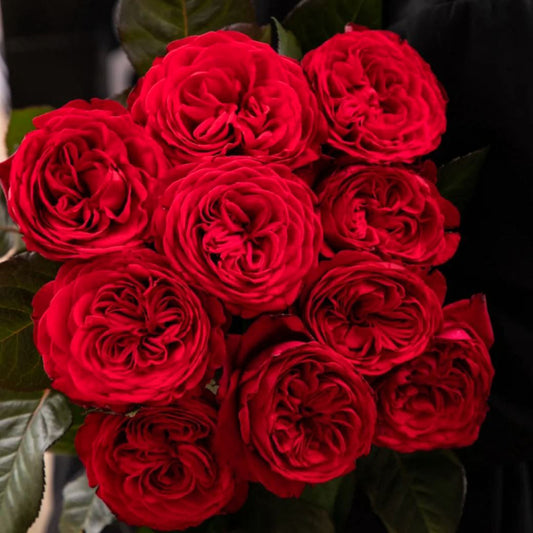 #SPG253, NEW! Lotus Lantern 宝莲灯，Florist Cutting Rose.