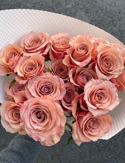 RP Moab 莫泊，Florist Shrub Rose，Upright, Heat-tolerant, disease-resistant,  Non-Grafted/Own Root.