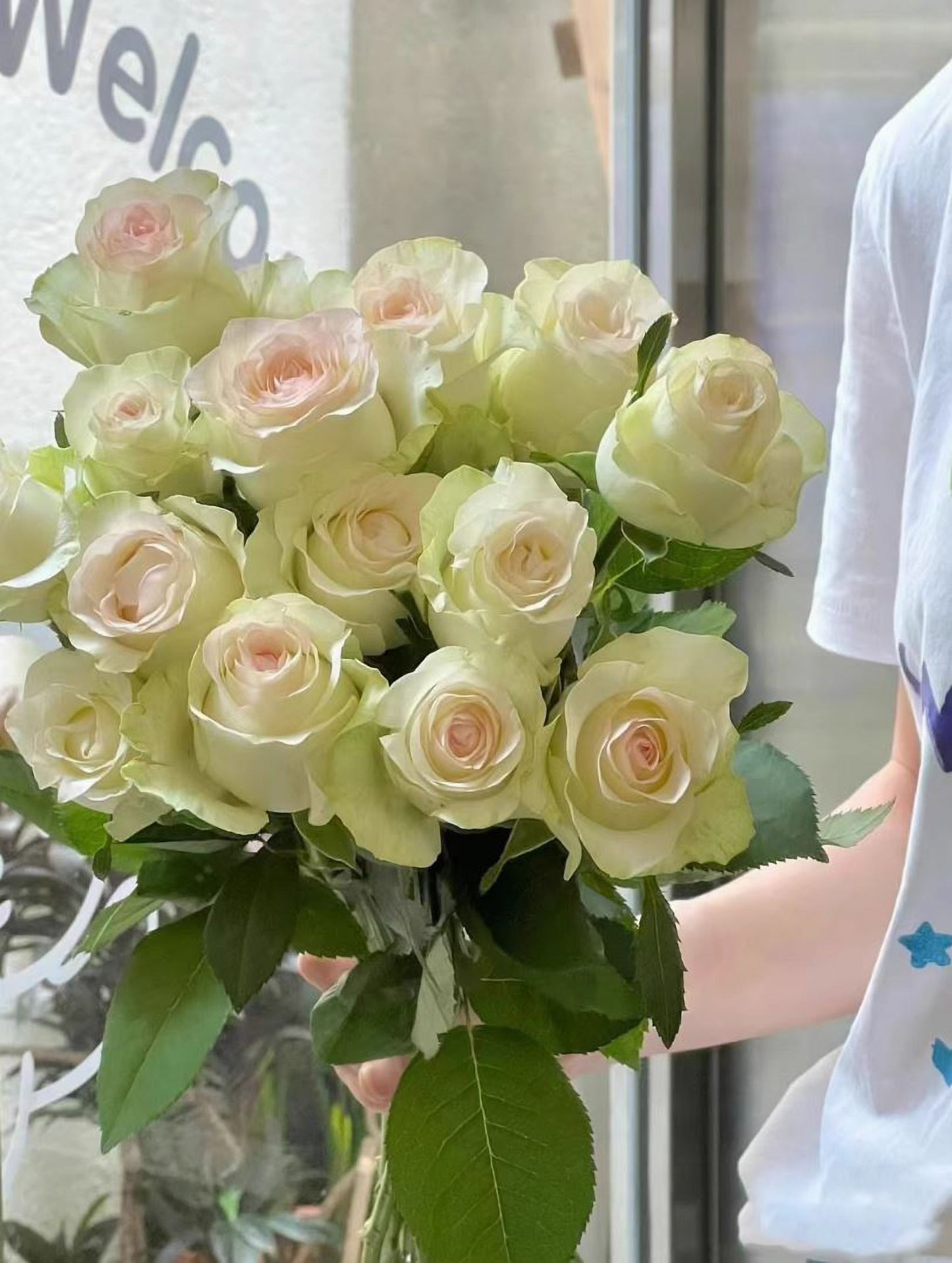 #SPN117，Sweet Jumilia 甜蜜艾莎, Netherlands Florist Shrub Rose.