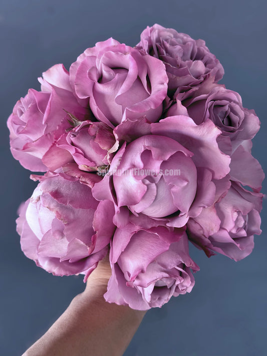 Amethyst 紫龙晶, Cutting Rose, Florists Rose, Heat-resistant,  Non-Grafted/Own Root.