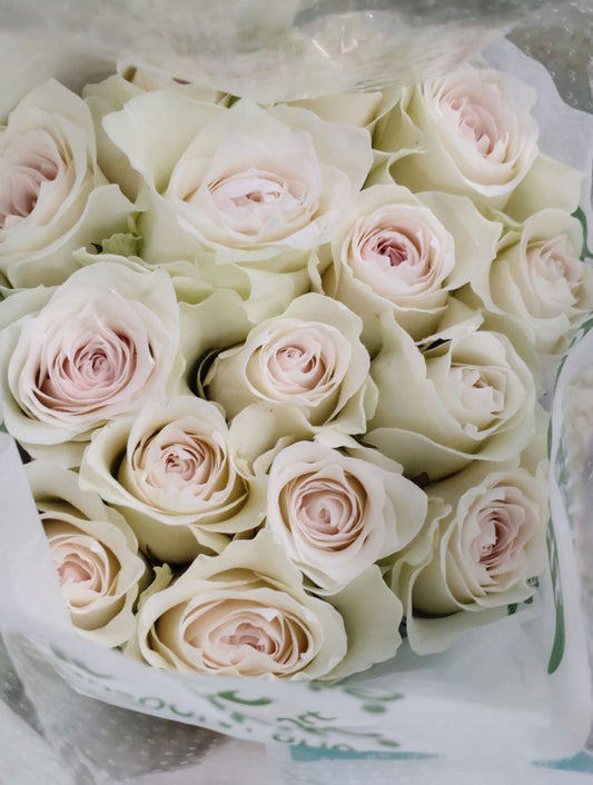 #SPJ243, Grand Homage 赞颂, Florist Cutting Rose，Non-Grafted/Own Root.