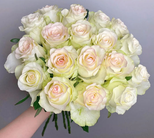 #SPN117，Sweet Jumilia 甜蜜艾莎, Netherlands Florist Shrub Rose.