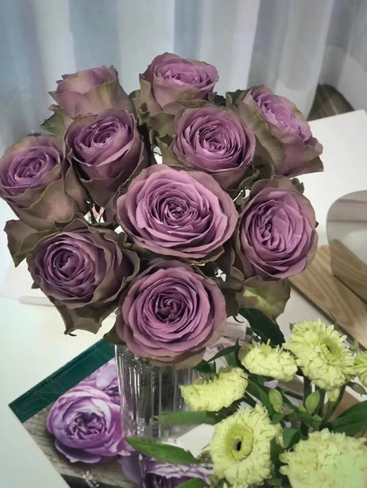 #SPN147， Tiara 罗马新娘，Florist Shrub Rose, Non-Grafted/Own Root.